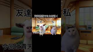 天井でミカ入手できると勘違いした結果ww #ブルアカ #猫ミーム #猫マニ