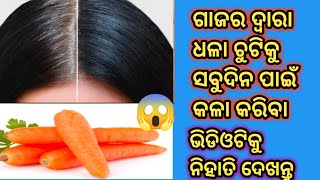 ମାତ୍ର ଗୋଟେ ଥରରେ ଧଳା ଚୁଟି ସବୁଦିନ ପାଇଁ କଳା କରନ୍ତୁ 😆Hair colour Remedy At home 😆ଗାଜର ର କମାଲ