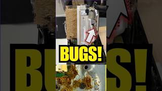 DISGUSTING Bug Infested Xbox from eBay! #tech #technology #shorts #pc