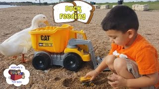 Duck Feeding Beach Day Fun with Toy Trucks