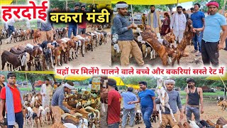 हरदोई बकरा मंडी में आये बहुत बेहतरीन पंजाबी नस्ल के बच्चे 🐐🐐 |Hardoi Bakra Mandi |Bakra Mandi Rate