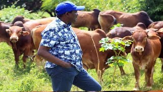 KALONZO MUSYOKA PROVES RUTO WRONG AFTER CALLING HIM  NDENGU FARMER!!!