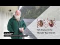 Status of Ticks in the Thunder Bay District - Summer 2022