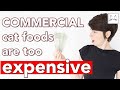 I compared the TOP 13 commercial foods vs RAW for CATS | cost = quality?