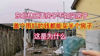 东北林区盖房不如买房，盖个雨打的钱能买半个房子，这是为什么？