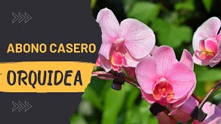 INCREIBLE ABONO CASERO PARA ORQUIDEAS FACIL DE PREPARAR