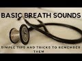 Basic Breath Sounds: Simple Tips and Tricks to Remembering Them