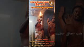 திருவிடைமருதூர் மகாலிங்கசுவாமி ஆலய தைப்பூச நாள் 4 யாகசாலை தீபாராதனை SarvavallamaiyullaIraivan #short