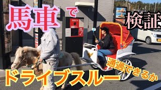 【検証】馬車でドライブスルーを通過できるかやってみた【結果、、】