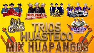 🔥 Mix Trios Huasteco Huapangos 2022 🎶Halcon Huasteco, Imperiales De La Sierra y Mas🎺♫