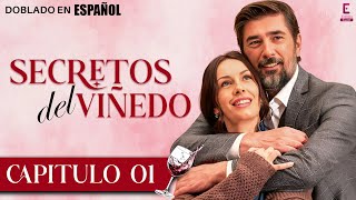 𝐒𝐞𝐜𝐫𝐞𝐭𝐨𝐬 𝐝𝐞𝐥 𝐕𝐢ñ𝐞𝐝𝐨 | Capitulo 01 | Peliculas Completas En Español Latino | Emora Novelas