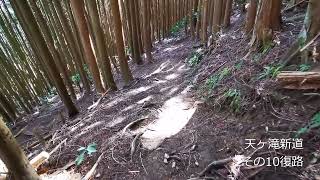 Ama10Dちょこっと登山・・天ヶ滝新道その１０復路