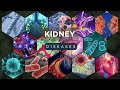 Kidney Diseases Explained – Causes, Symptoms, & Treatments