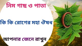 নিম পাতার উপকারিতা | নিম পাতা কোন কোন রোগের মহা ঔষধ জেনে রাখুন