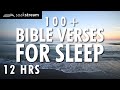 Bible Verses For Sleep | 100+ Healing Scriptures with Soaking Music | Audio Bible | 12 HRS