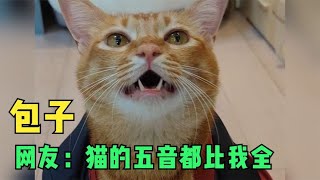 这是全网最会唱歌的小猫咪包子，网友：猫的五音都比我全！！