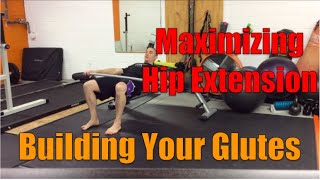 MovementProfessional.com: Hip Extension Movements (\