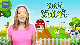 Learn Farm Animals with Ms Tigest | Animal Sounds, Amharic videos for Toddlers