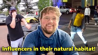 Why are influencers so stupid?