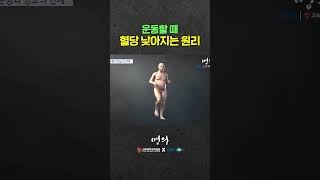 당뇨인 주목! 운동하면 왜 혈당이 낮아질까?