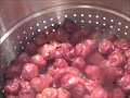 how to can plum juice