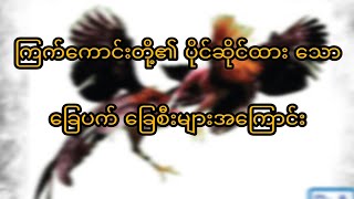 ကြက်ကောင်းတို့၏ ခြေပတ်ခြေစီးအကြောင်း/Aung love family