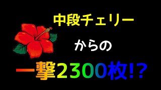 投資1Kで中段チェリー1/16384からの逆転【フリーズ】【沖ドキ!2】【ニューハナハナ】6号機#122