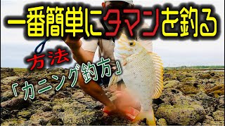 ★沖縄★ドラグが止まらない！タマン、クチナジ最強「カニング」で釣る！！