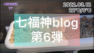 #124 七福神blog第六弾【多肉植物】