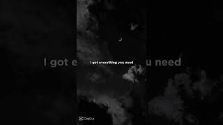 Genius Lyrics Ll