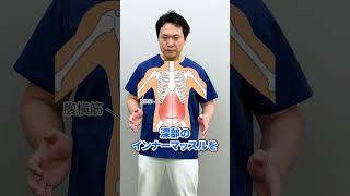 【50歳からのお腹痩せ】50代 60代 70代でも  腹筋鍛えてポッコリお腹 凹む 腰痛 股関節痛 ひざの痛みも一緒に改善 【簡単 腹横筋トレーニング】 #ぽっこりお腹 #腹筋 #インナーマッスル