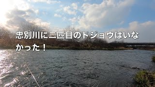 【fly\u0026lure-fishing】忠別川に二匹目のドジョウ(trout)はいなかった！No second loach was in the Chubetsu River!