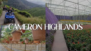 Cameron Highlands - Pahang, Malaysia