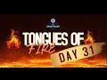 DAY-THIRTY-ONE-TONGUES OF FIRE-(61 DAYS OF SPEAKING IN TONGUES OF FIRE)