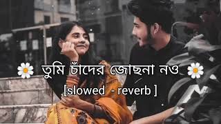 তুমি চাঁদের জোছনা নও। Tumi Chader Joscna nou। Lo-Fi Gaan। bangla Lo-Fi music।