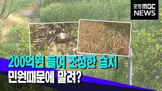 200억 들여 조성한 습지‥주민 민원에 말린다? (2022.06.22/뉴스투데이/포항MBC)