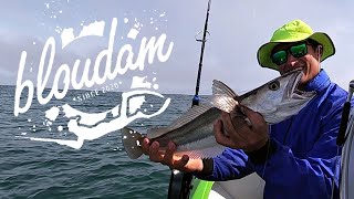 FISHING FOR HAKE - SEALS STEALING FISH SWIMMING WITH DOLPHINS AND SPEARFISHING GALJOEN IN 1 TRIP