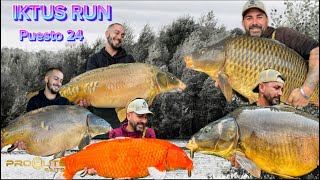 Carpfishing   IKTUS RUN Puesto 24