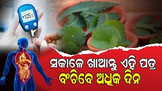 ଅଧିକ ଦିନ ବଞ୍ଚିବାକୁ ଚାଁହୁଛନ୍ତି କି ? ସବୁ ଦିନ ସକାଳେ ଖାଆନ୍ତୁ ୪-୫ଟି ଏହି ପତ୍ର