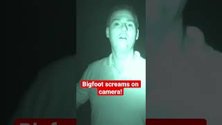 Bigfoot Screaming Leaves Him Speechless! Squatch Watchers Rewind