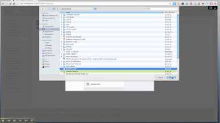 Adding a file to Wikispaces