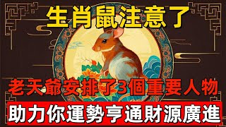 生肖鼠注意了，2025年，老天爺安排了3個重要人物，助力你運勢亨通，財源廣進！快看看是誰？#生肖運勢#橫財運勢#命理分析#風水布局提升運勢#風水調理