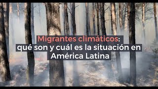 Migrantes climáticos: qué son y cuál es la situación en América Latina