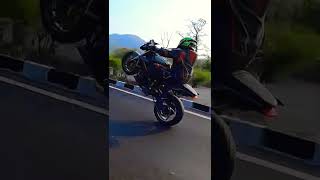 wheely on superbike 🔥