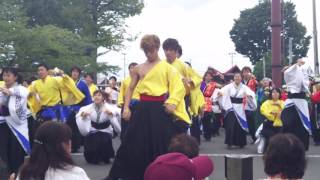 とわだYosakoi夢まつり 総踊り【イヤサカAKITA・よっちょれ】2016.9.25