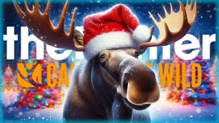 С НАСТУПАЮЩИМ! НОВОГОДНЯЯ ОХОТА В ТАЙГЕ! | theHunter Call of the Wild 🎄 | Часть #1