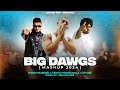 BIG DAWGS x Sidhumoosewala ( Mashup ) - Hanumankind | Divine | Ankush Rdb