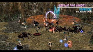 QUEEN ANT FIGHT MOMENTS • 06.03.2023 • NEWBIESOFT • EURO-PVP.COM