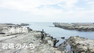 三浦半島 岩礁のみち / 海岸ハイキング