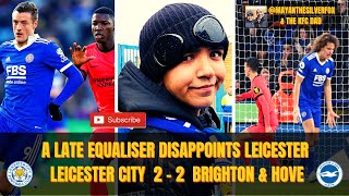 A Late Equaliser Disappoints Leicester | Matchday Vlog | Leicester City 2-2 Brighton & Hove Albion